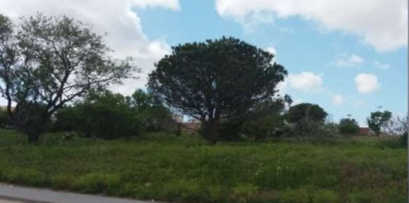 SUELO EN CHICLANA DE LA FRONTERA